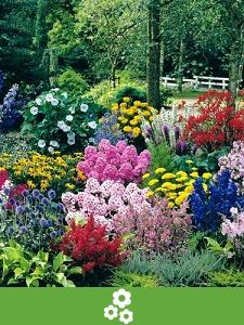 Paquetes de Valor Perennes