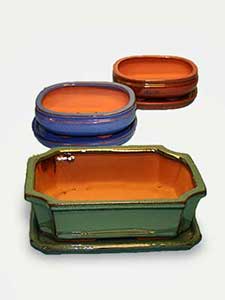 Jardineras para bonsáis