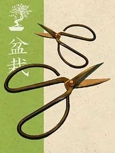 Herramientas de Bonsái