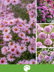 Plantas de Jardín por Color