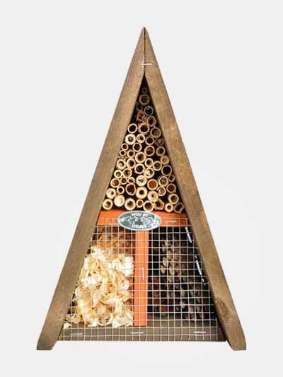 Diversión en el jardín