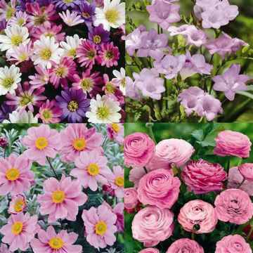 Old Fashioned Favourites x 82 Old Fashioned Favourites x 82