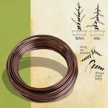 Training wire 2mm 80gr Japan-v2 (91032)