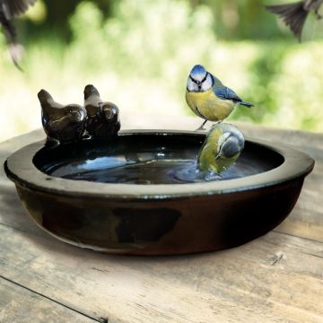 Vogelbad rond Black