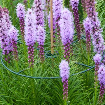 8711338401019.JPG 8711338401019.JPG