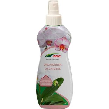 Bladspray Orchideeen.jpg