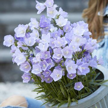 Vrouw met klokjesbloemen