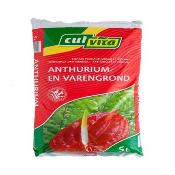 Culvita Anthurium en Varengrond 5 l