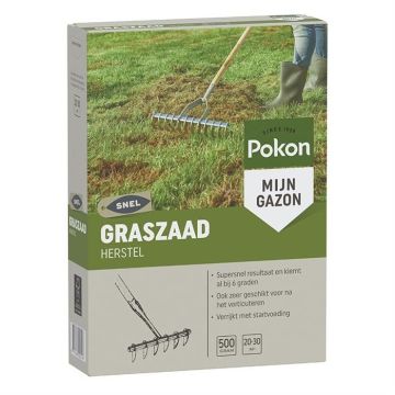 Pokon graszaad herstel 500 gr 20 30 m