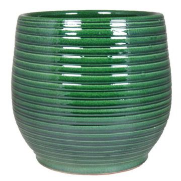 27.100 Pot Ilse Groen d 16 cm