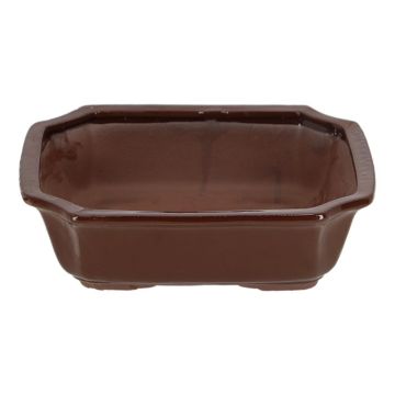 JP015 Bonsai pot rechthoekig L
