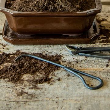 GT294 Bonsai wortelhaak