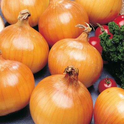 Ui Hyskin F1 hybride