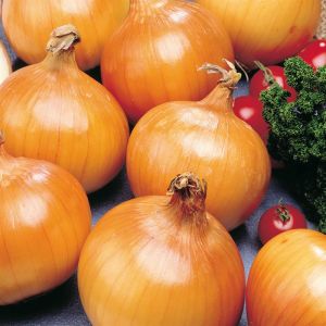 Ui Hyskin F1 hybride