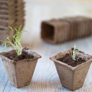 Biologisch pot vierkant 6 cm